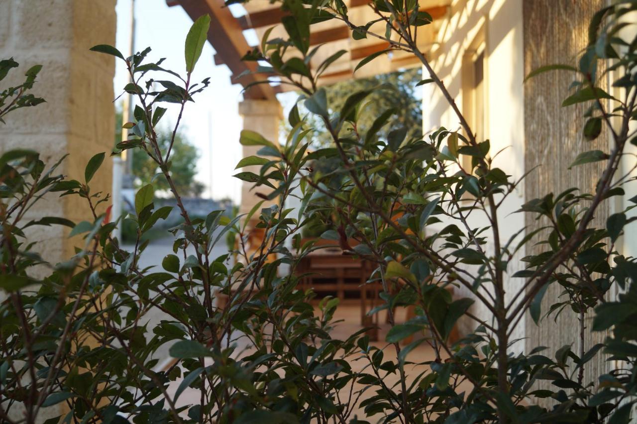 לינה וארוחת בוקר אלברובלו La Casa Del Nonno חדר תמונה