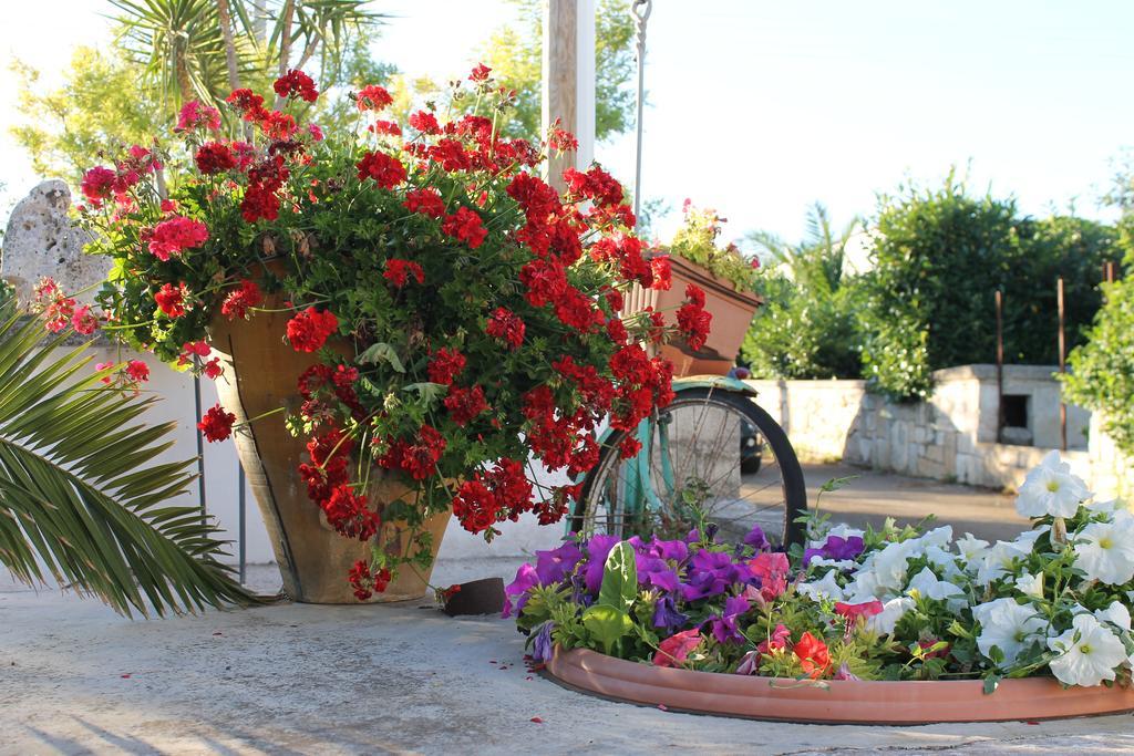 לינה וארוחת בוקר אלברובלו La Casa Del Nonno מראה חיצוני תמונה