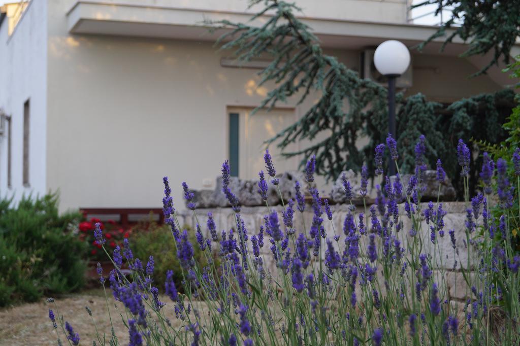 לינה וארוחת בוקר אלברובלו La Casa Del Nonno מראה חיצוני תמונה
