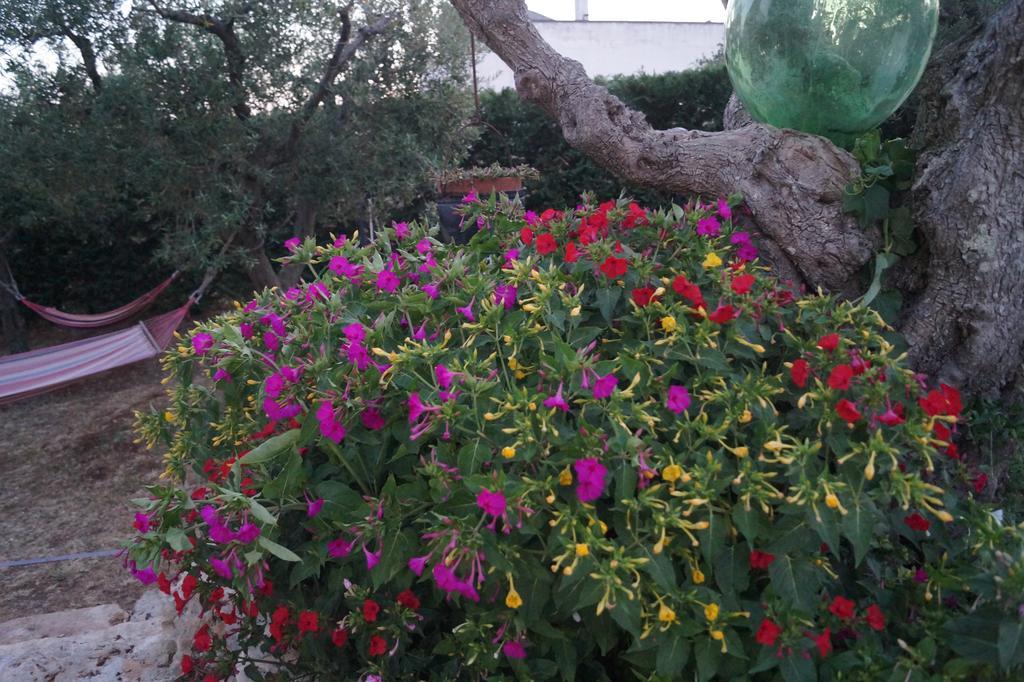 לינה וארוחת בוקר אלברובלו La Casa Del Nonno מראה חיצוני תמונה